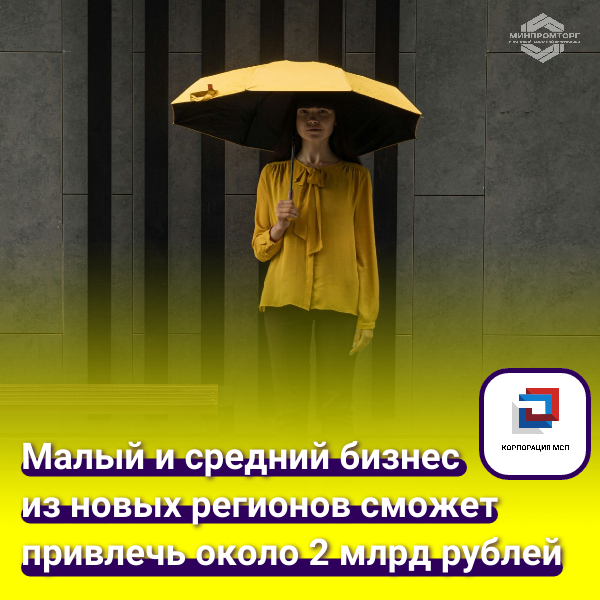 Предприниматели ЛНР смогут привлечь финансирование под «зонтичные» поручительства