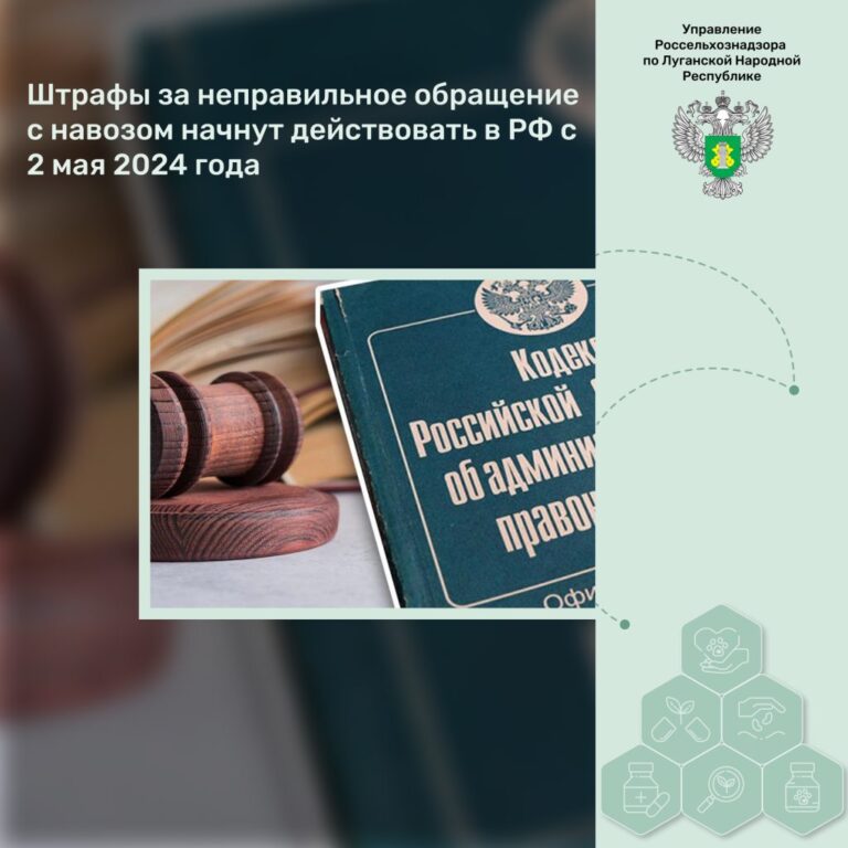 Штрафы за неправильное обращение с навозом начнут действовать в РФ с 2 мая 2024 года