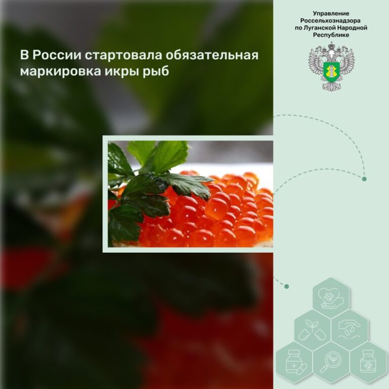В России стартовала обязательная маркировка икры рыб