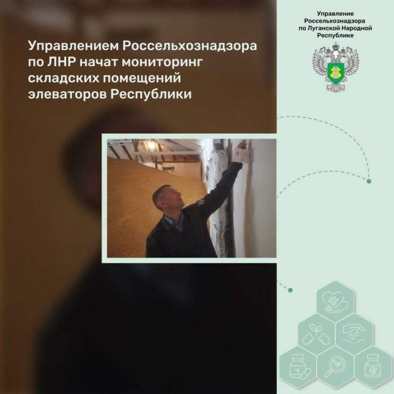 Управлением Россельхознадзора по ЛНР начат мониторинг складских помещений элеваторов Республики
