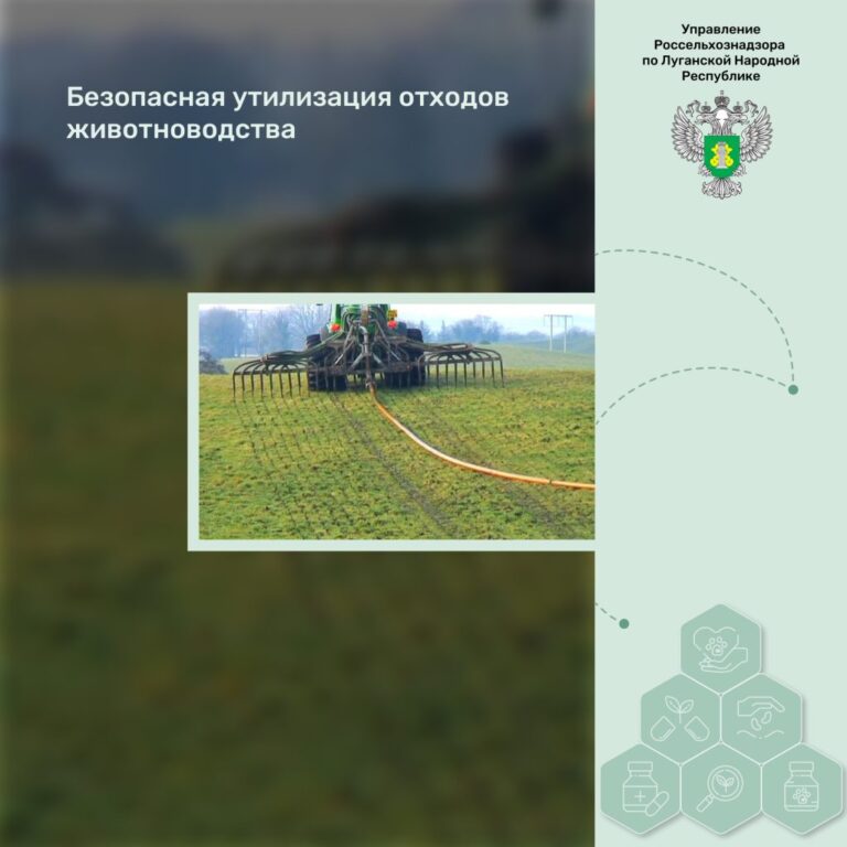 Безопасная утилизация отходов животноводства