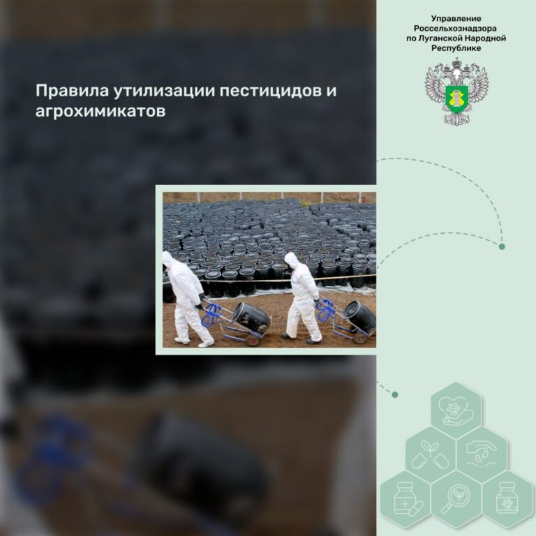 Правила утилизации пестицидов и агрохимикатов