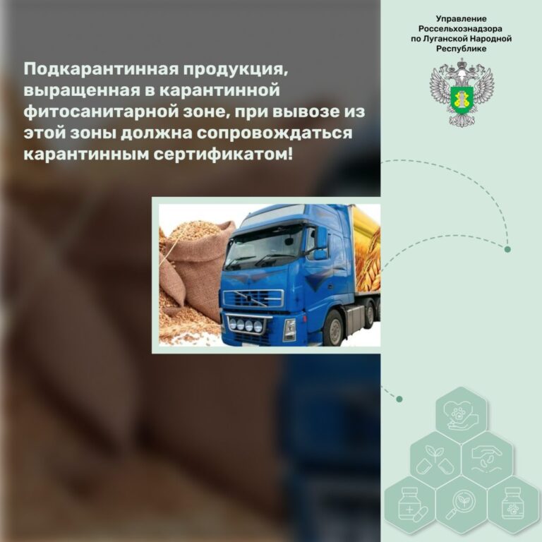 Подкарантинная продукция, выращенная в карантинной фитосанитарной зоне, при вывозе из этой зоны должна сопровождаться карантинным сертификатом!