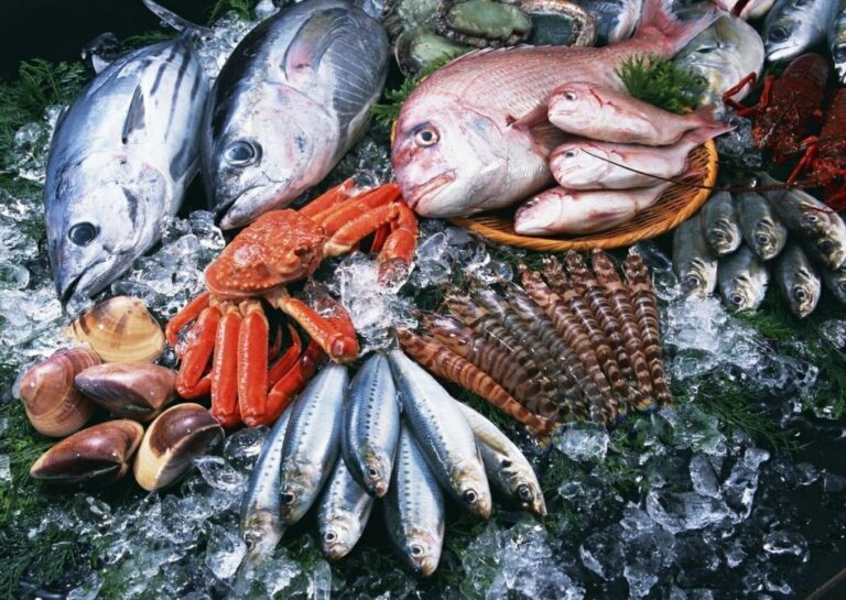 Оформление ветеринарных сопроводительных документов (ВСД) для рыбной продукции станет строже