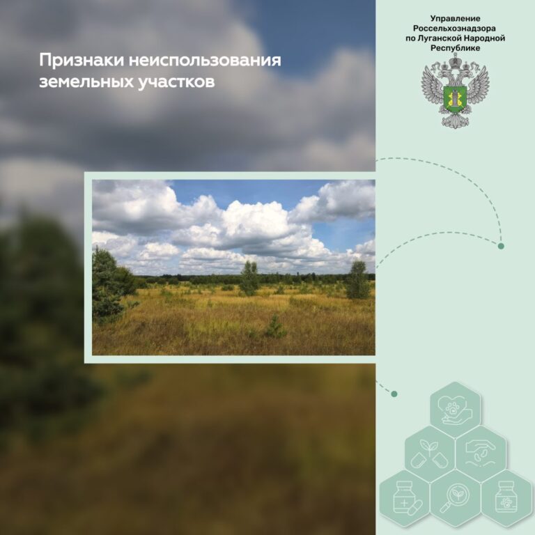 Признаки неиспользования земельных участков