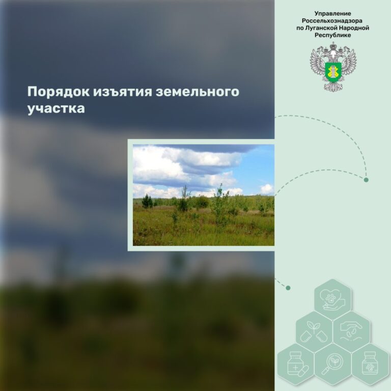 Порядок изъятия земельного участка
