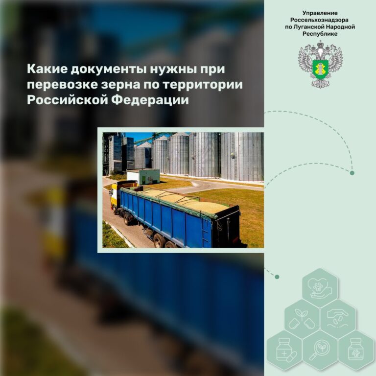 Какие документы нужны при перевозке зерна по территории Российской Федерации