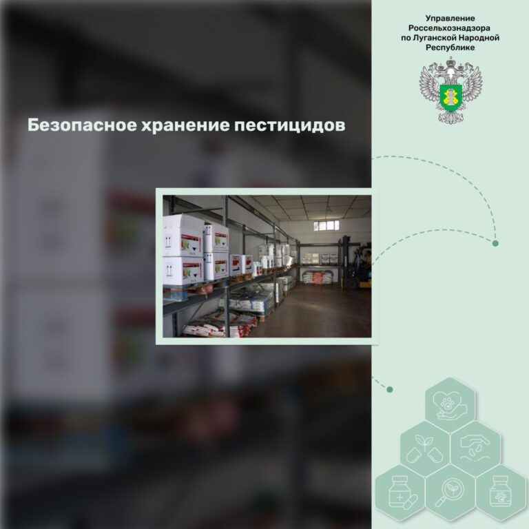 Безопасное хранение пестицидов