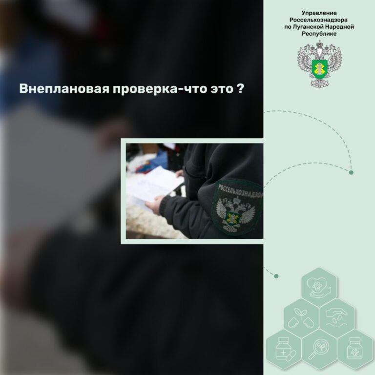 Внеплановая проверка – что это?