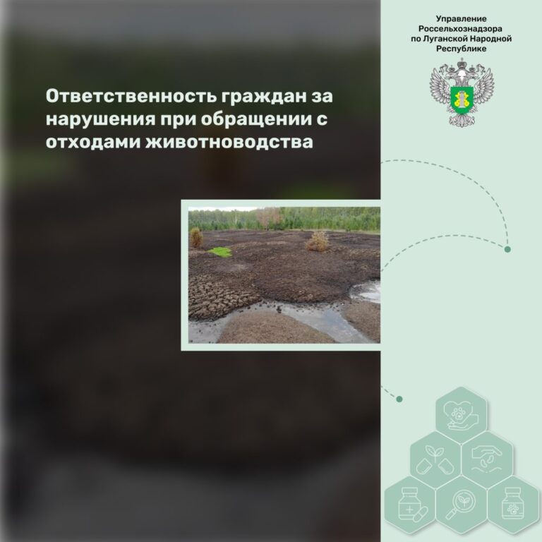 Ответственность граждан за нарушения при обращении с отходами животноводства