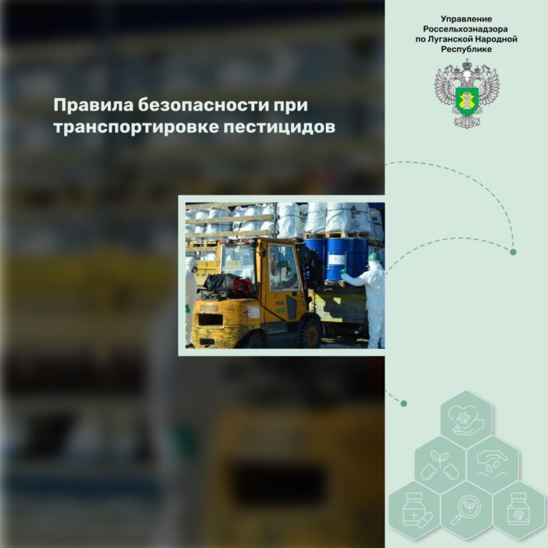 Правила безопасности при транспортировке пестицидов