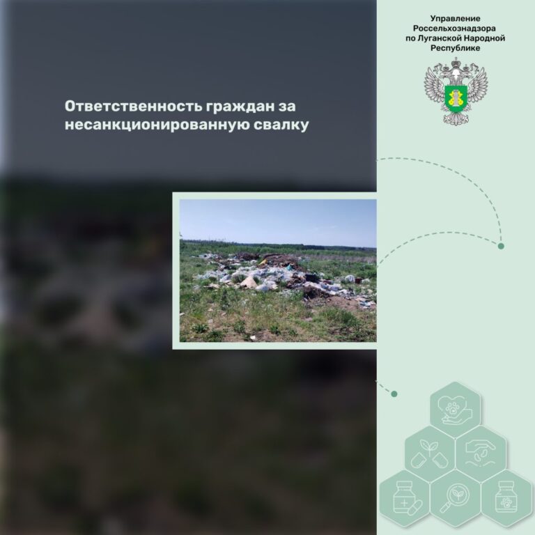 Ответственность граждан за несанкционированную свалку