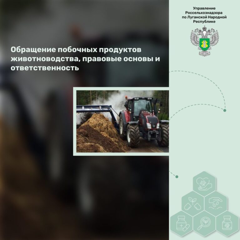 Обращение побочных продуктов животноводства, правовые основы и ответственность