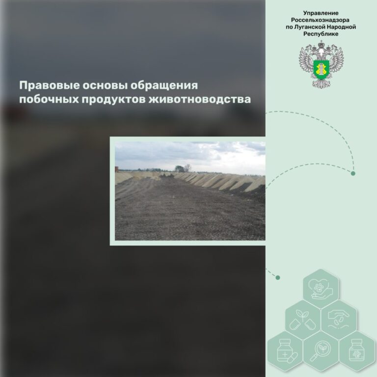 Правовые основы обращения побочных продуктов животноводства