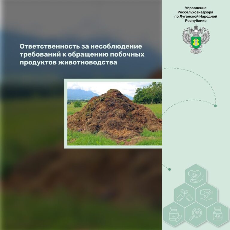 Ответственность за несоблюдение требований к обращению побочных продуктов животноводства