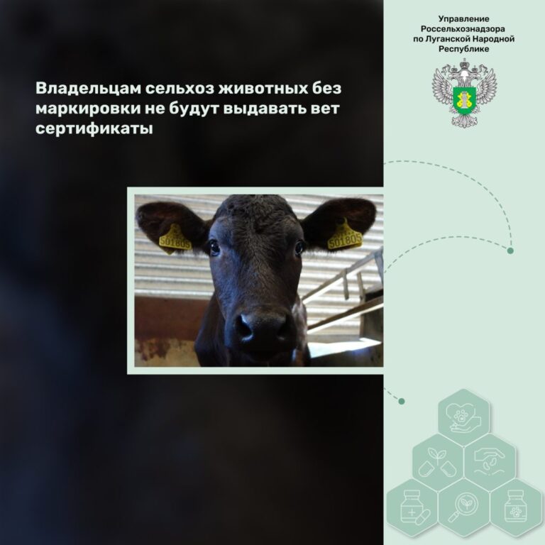 Владельцам сельхоз животных без маркировки не будут выдавать ветеринарные сертификаты