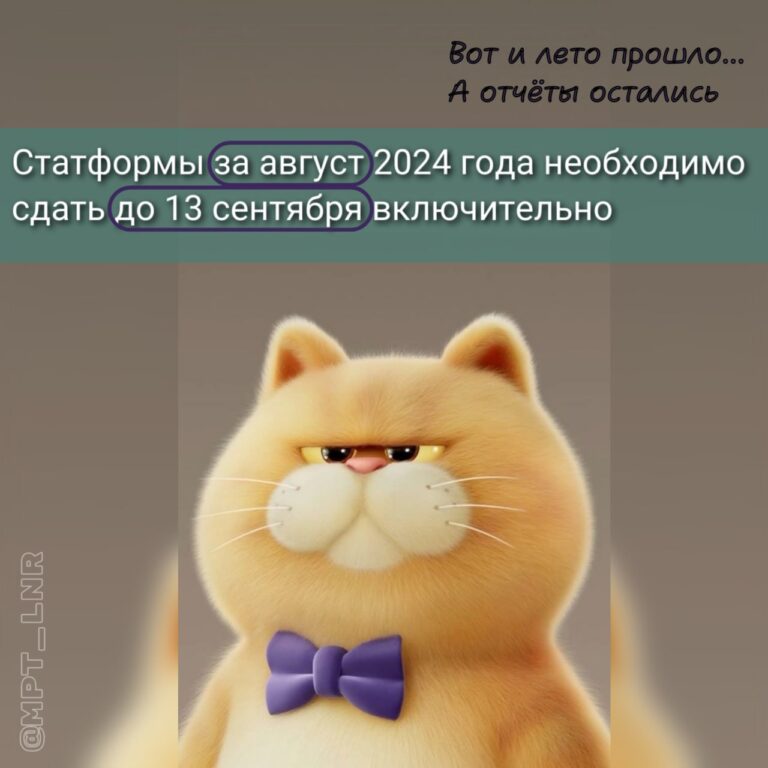 Статформы за август 2024 года необходимо сдать до 13 сентября включительно