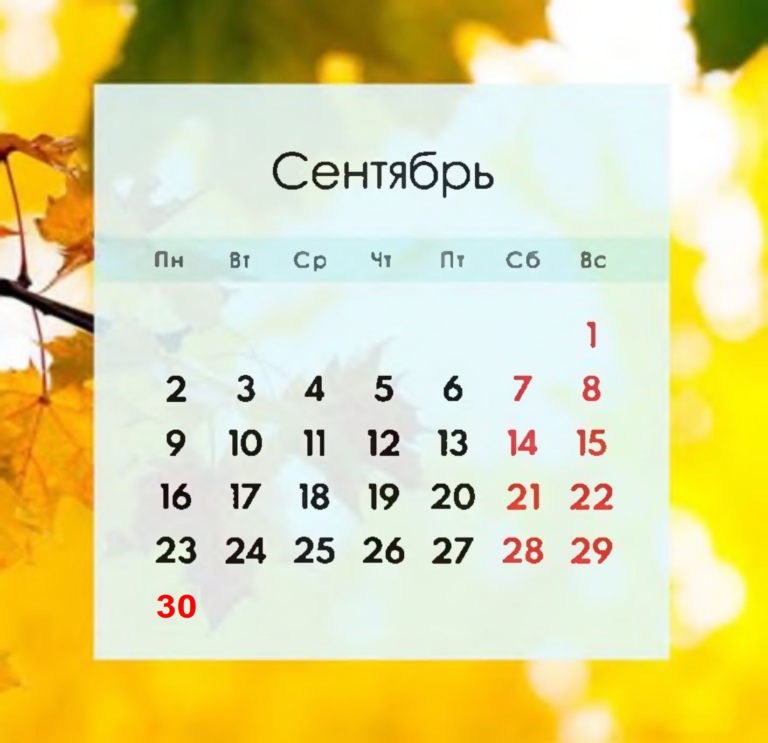 Контрольные даты на сентябрь 2024 года для бухгалтера ЛНР
