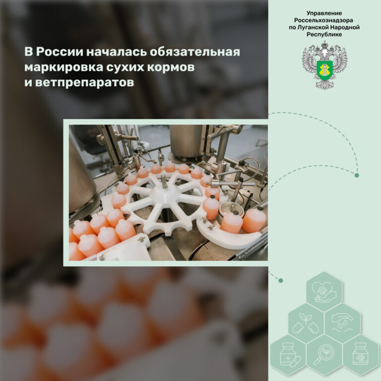В России началась обязательная маркировка сухих кормов и ветпрепаратов