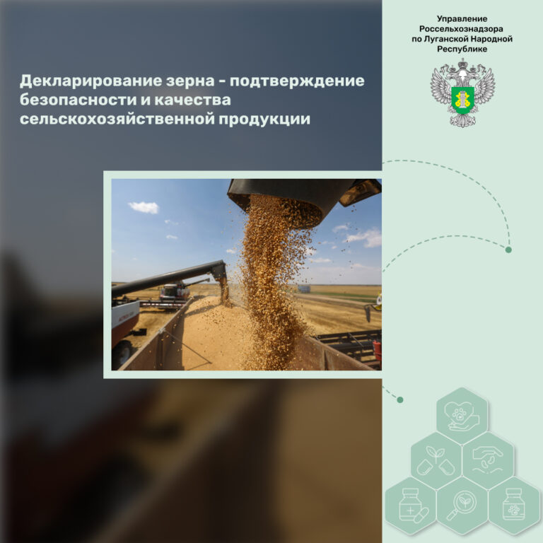 Декларирование зерна – подтверждение безопасности и качества сельскохозяйственной продукции
