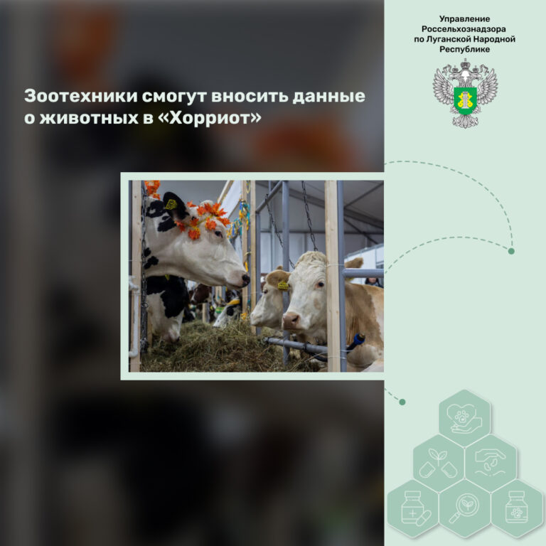 Зоотехники смогут вносить данные о животных в «Хорриот»