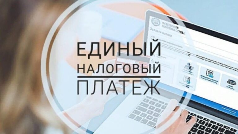 Заполнение Уведомления по ЕНП при выплате зарплаты за декабрь 2024 г. в декабре 2024 г.