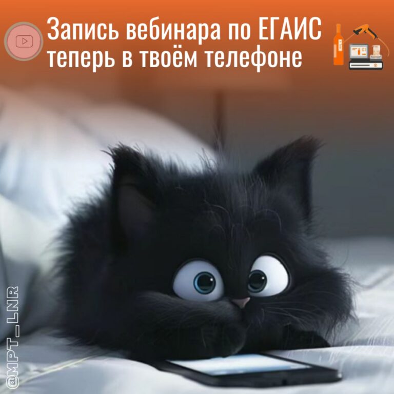 Участникам алкооборота ЛНР доступна запись вебинара по ЕГАИС