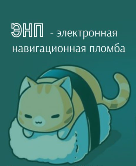 С января 2025 года действует таможенное нововведение для отдельных категорий товаров