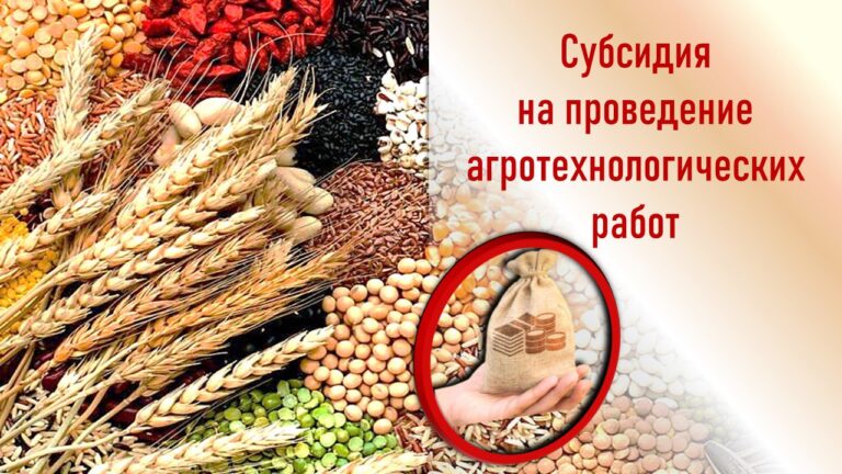 Министерство сельского хозяйства и продовольствия Луганской Народной Республики объявляет о начале приема заявок на субсидирование агротехнологических работ